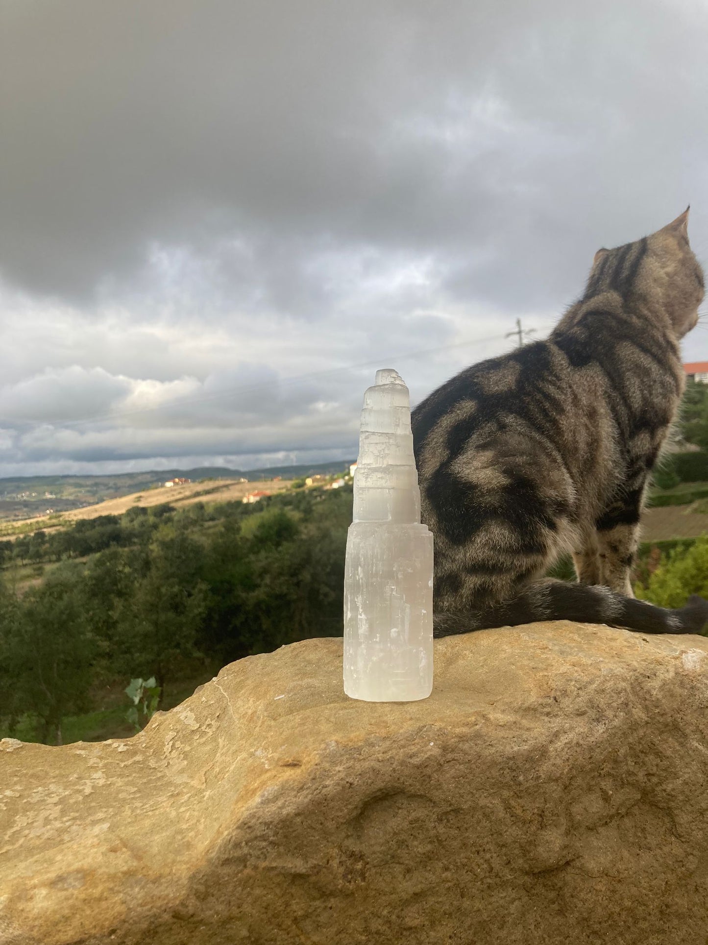 Large Selenite Tower